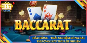 Hắc Hồng - Trải Nghiệm Sòng Bài Thượng Lưu Thu Lợi Nhuận